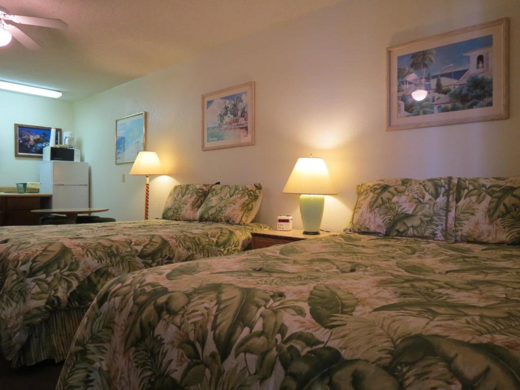 Ed & Ellen'S Lodgings Key Largo Room photo