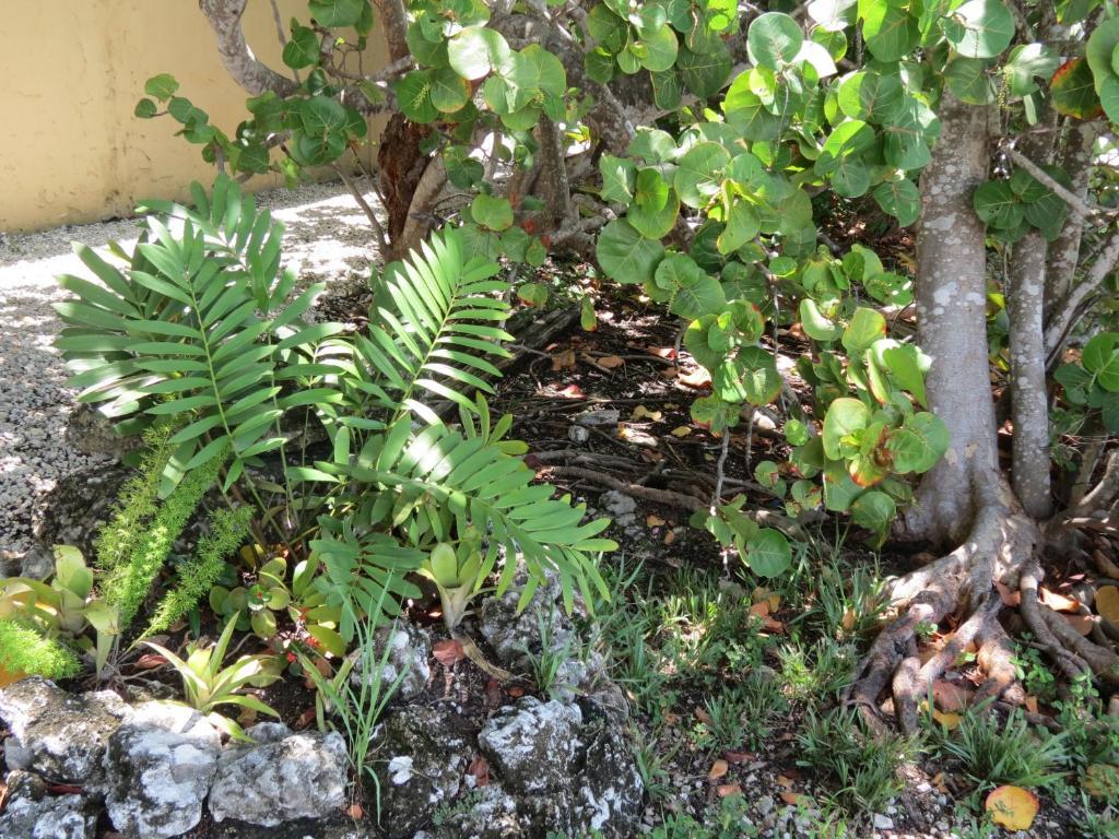 Ed & Ellen'S Lodgings Key Largo Exterior photo