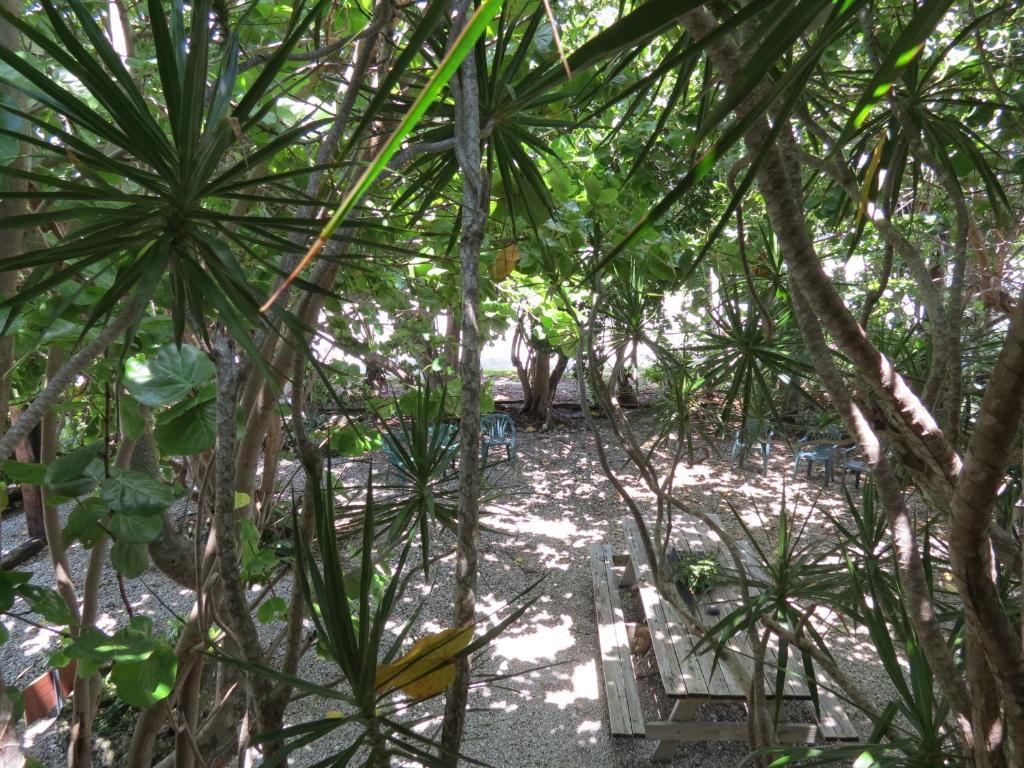 Ed & Ellen'S Lodgings Key Largo Exterior photo