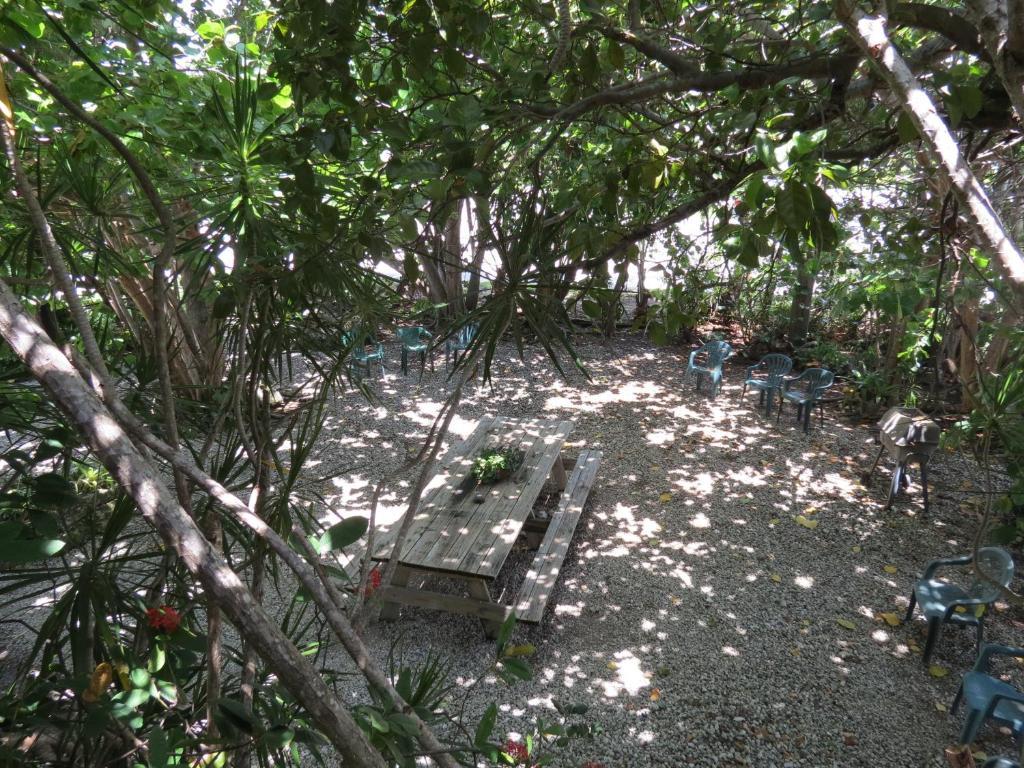 Ed & Ellen'S Lodgings Key Largo Room photo