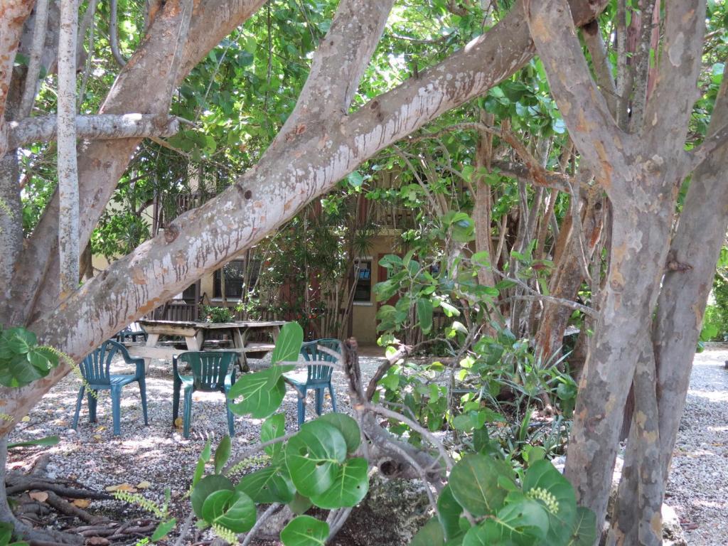 Ed & Ellen'S Lodgings Key Largo Exterior photo