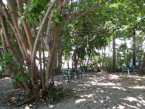 Ed & Ellen'S Lodgings Key Largo Exterior photo