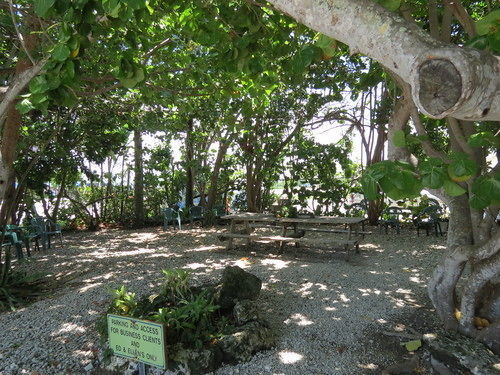Ed & Ellen'S Lodgings Key Largo Exterior photo