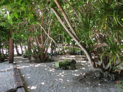 Ed & Ellen'S Lodgings Key Largo Exterior photo