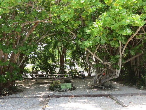 Ed & Ellen'S Lodgings Key Largo Exterior photo